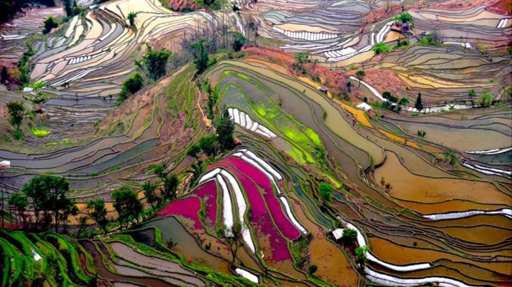 Fotos surrealistas de los paisajes de China